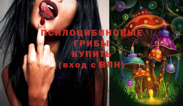 шишки Лиски