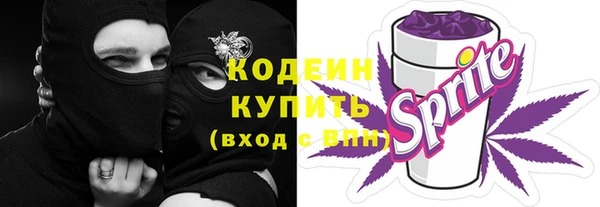 шишки Лиски