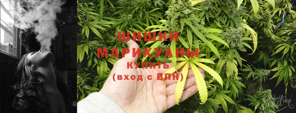 шишки Лиски