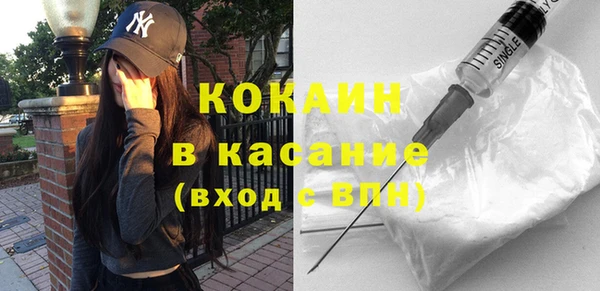 шишки Лиски