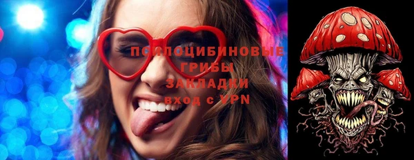 шишки Лиски