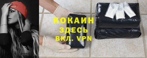 шишки Лиски